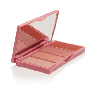 Paleta Blush